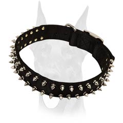 spiked dog collars