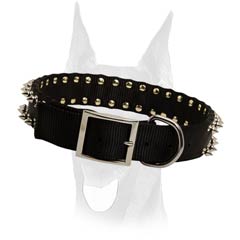 Completely safe and comfort collar