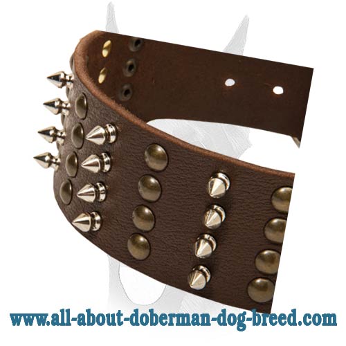 Exclusive design wide leather collar with studs and spikes for Doberman :  Doberman Breed: Dog harness, Muzzle, Collar, Leash