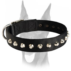 Nickel pyramids for Doberman collar