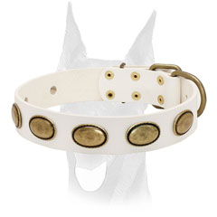 White leather Doberman collar