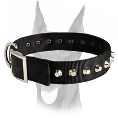 Nylon Doberman collar 