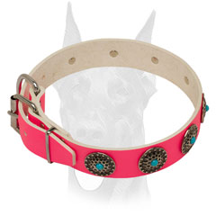 Nickel plated fittings for Doberman collar