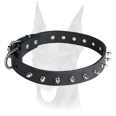 Shiny nickel spikes for leather Doberman collar