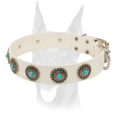 Attractive blue stones for Doberman collar