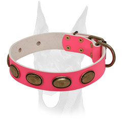 Gold-like brass plates for pink leather Doberman collar