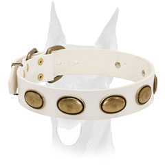 Rust proof brass hardware for Doberman collar