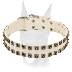 Hand set rivets for Doberman collar