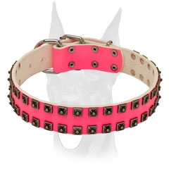 Special kind of equipment for female Doberman