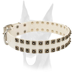 Nickel plated hardware for Doberman collar