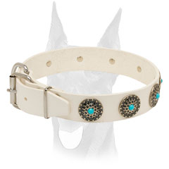 Nickel plated fittings for Doberman collar