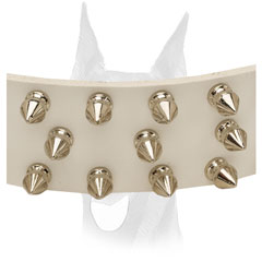 Elegant white leather Doberman collar