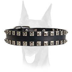 No-ordinary design collar for Doberman