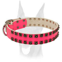 Wide reliable leather Doberman collar
