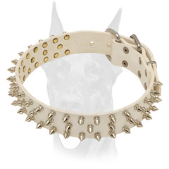 Securely riveted Doberman collar