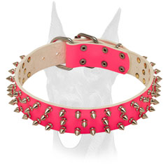 Spiked pink leather Doberman collar