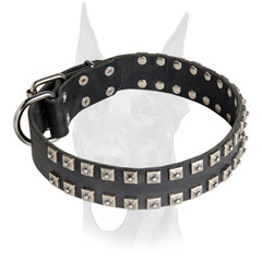 Nickel plated hardware for Doberman collar