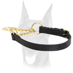 Training martingale Doberman collar