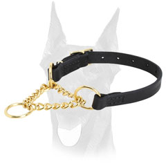 Walking Doberman martingale collar