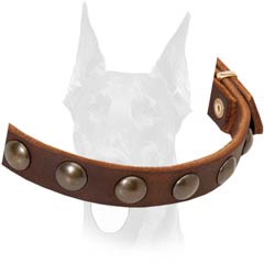 Studded leather Doberman collar