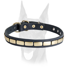 Doberman collar with plates