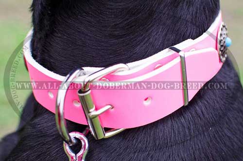 Strong leather collar with rust resistant D-ring