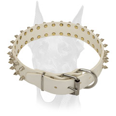 Strong white leather Doberman collar with 2 rows of symmetrical spikes