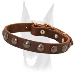 Brass plated buckle for attaching a leash to this Doberman collar