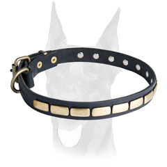 Nickel plated fittings for Doberman collar