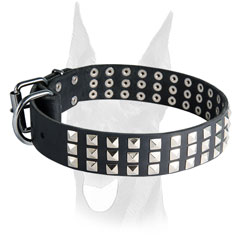 Reliable Doberman collar