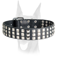 Studded Doberman collar