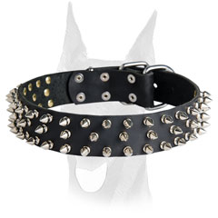 Spiked leather Doberman collar