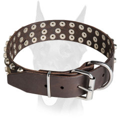 Strong Doberman collar