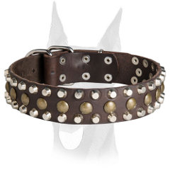 Leather Doberman collar with studs