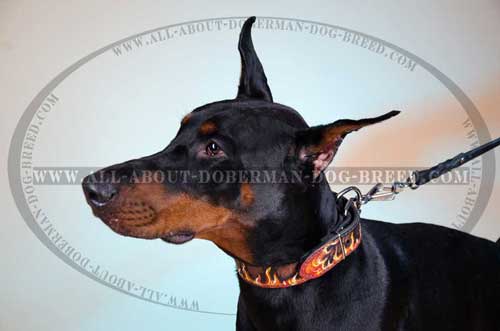 Comfortable leather collar