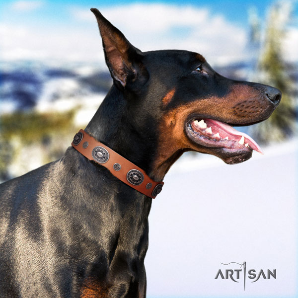 Doberman full grain leather dog collar with studs for your lovely doggie