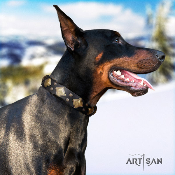 Doberman natural genuine leather dog collar with adornments for your stylish pet