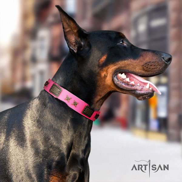 Doberman full grain genuine leather dog collar with embellishments for your attractive pet
