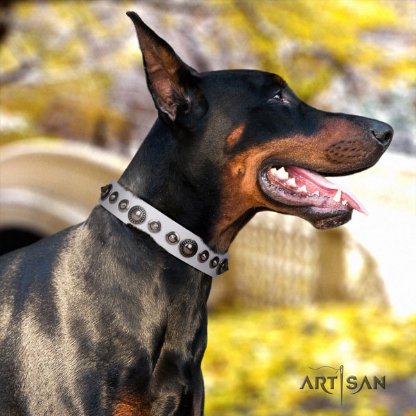 Doberman full grain genuine leather dog collar with embellishments for your lovely pet