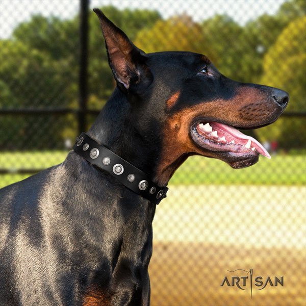 Doberman designer leather collar with embellishments for your doggie