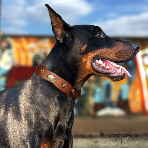 Doberman easy to adjust full grain natural leather collar with adornments for your dog