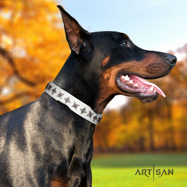Doberman designer genuine leather collar with adornments for your canine