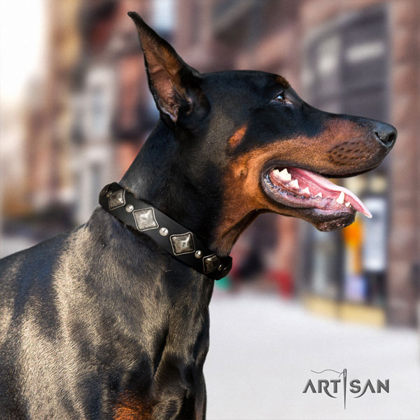 Doberman full grain genuine leather dog collar with adornments for your lovely four-legged friend