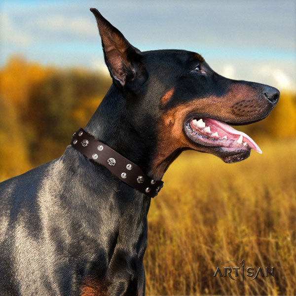 Doberman full grain genuine leather dog collar with decorations for your stylish pet