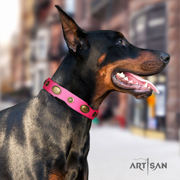 Doberman unusual full grain leather collar with adornments for your pet