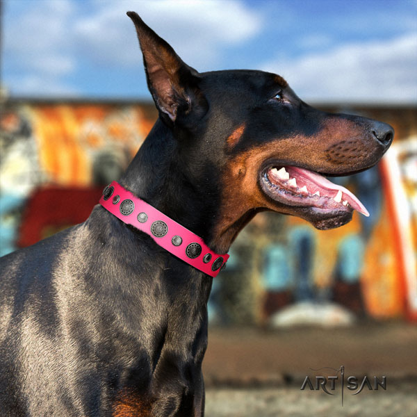 Doberman fashionable full grain genuine leather collar with decorations for your canine