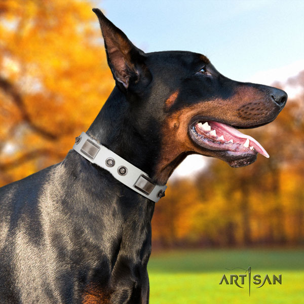 Doberman incredible full grain natural leather collar with embellishments for your dog