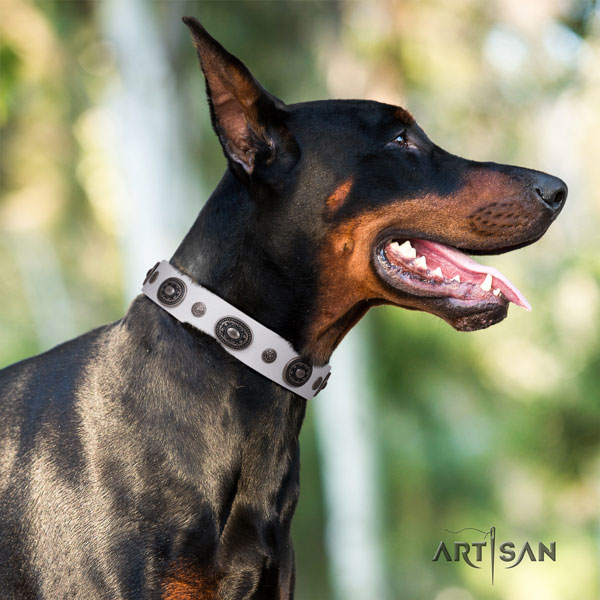 Doberman genuine leather dog collar with adornments for your impressive canine