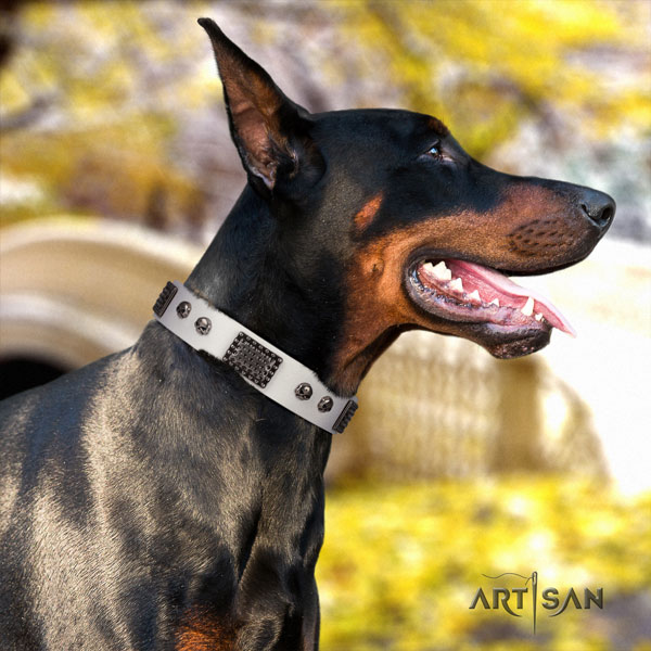 Doberman exquisite genuine leather collar with adornments for your canine