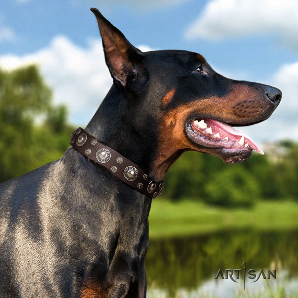 Doberman full grain leather dog collar with embellishments for your impressive pet